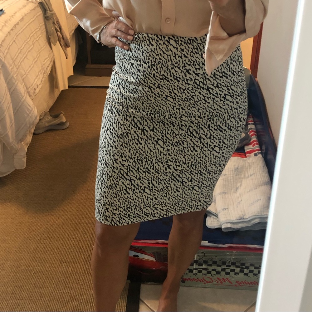 Diane Von Furstenberg Pencil Skirt